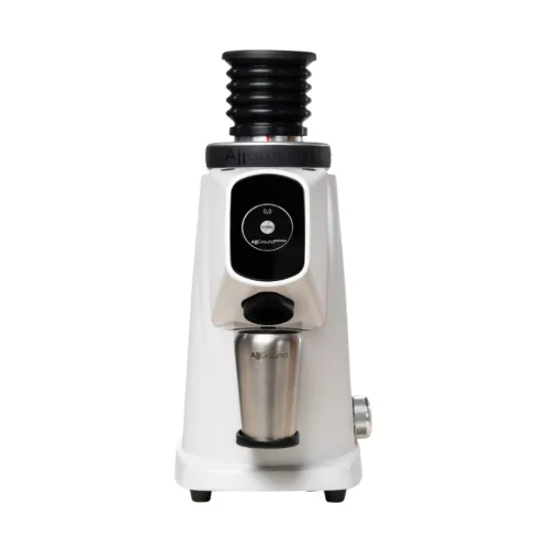 FIORENZATO ALLGROUND PROBREW